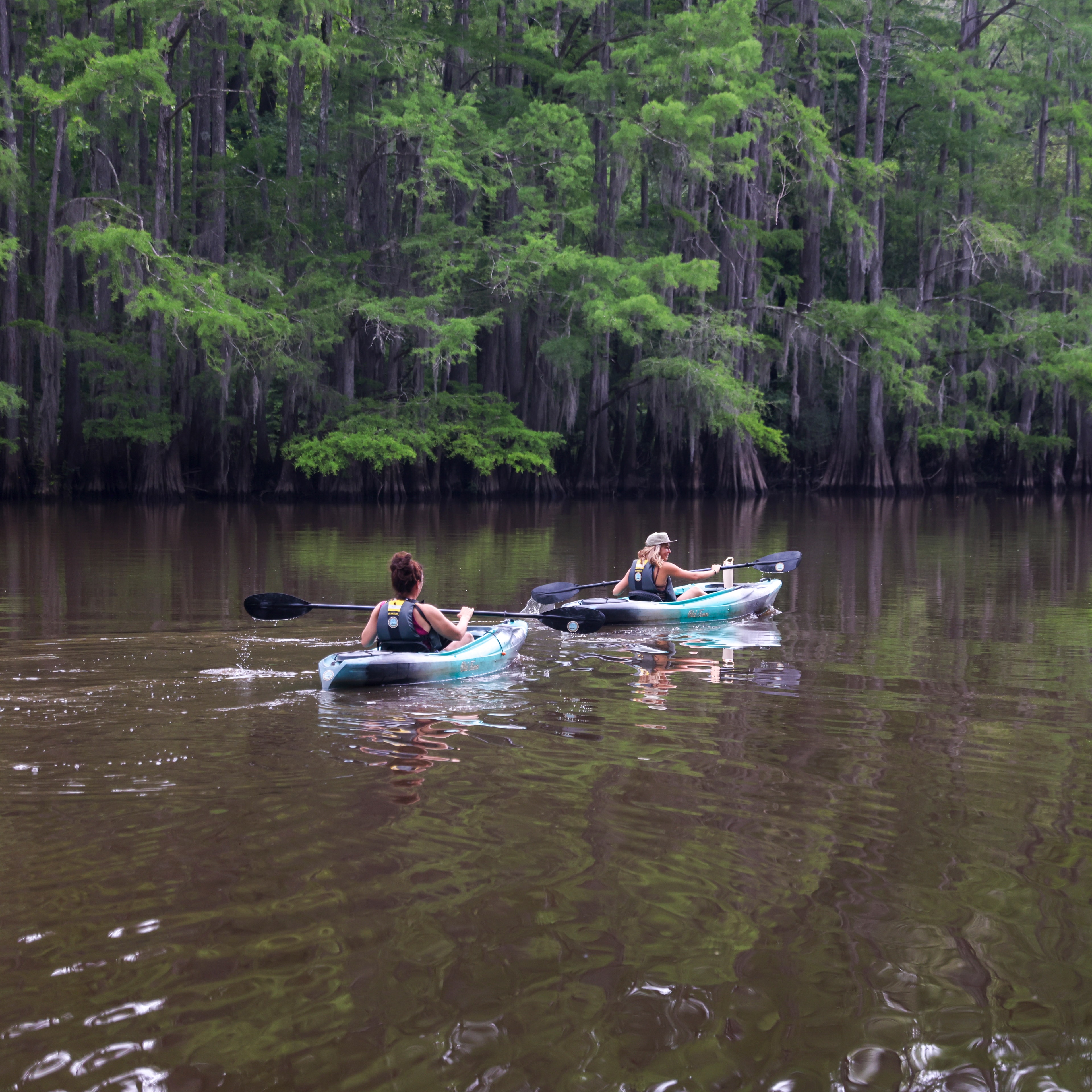 Two paddlers kayaking through the cypress bayou