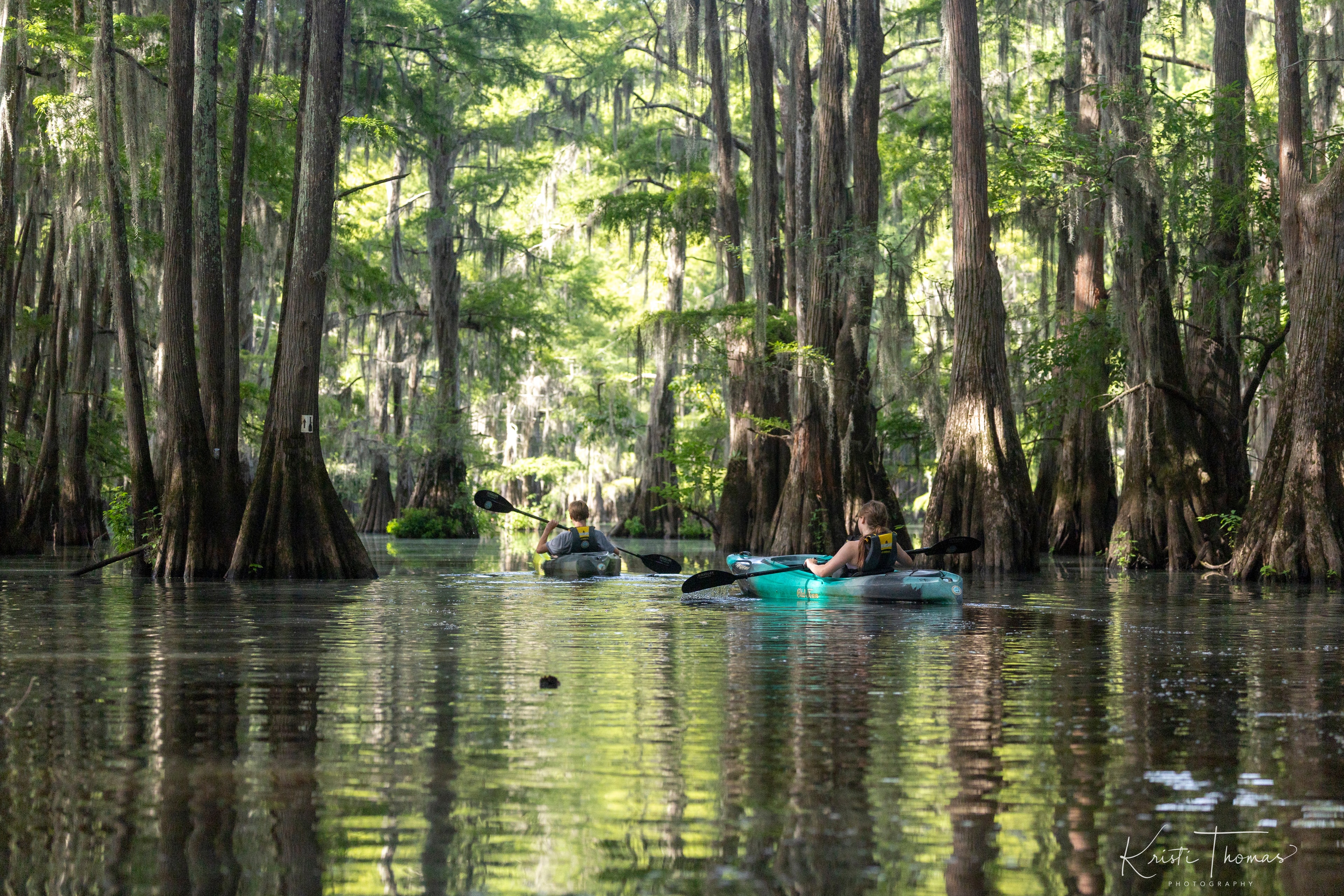 Two kayakers paddling through the cypress swamp at Clear Lake