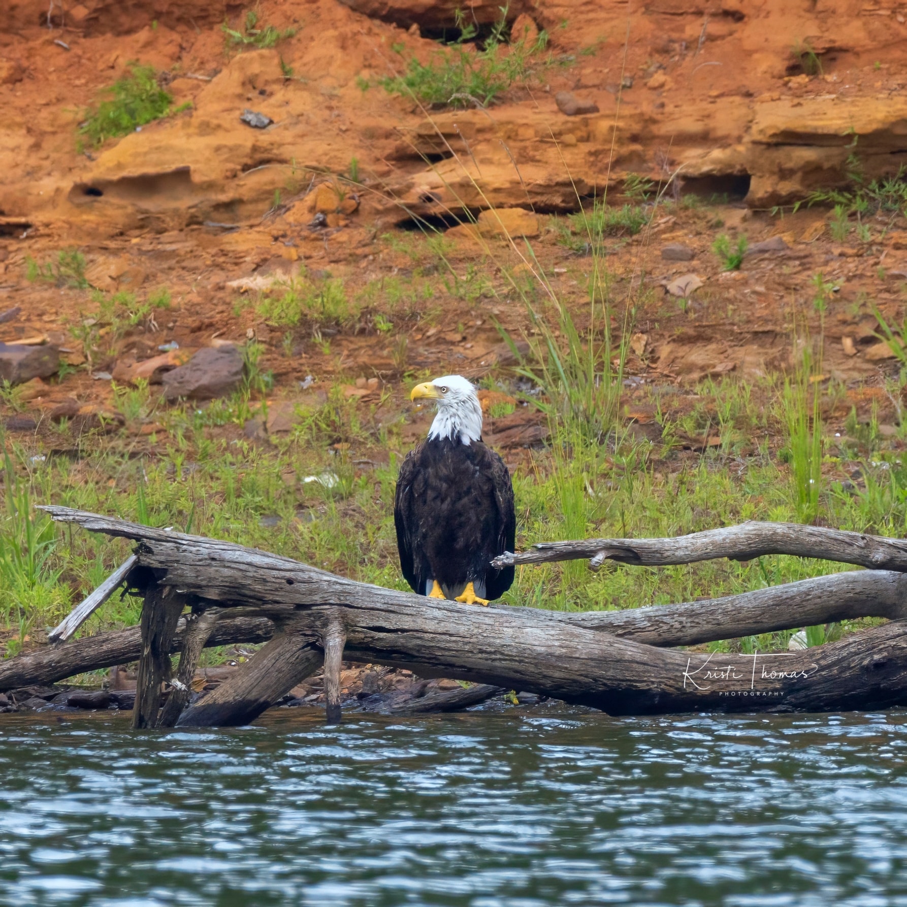 Photo of the day from Riverbend Outfitters